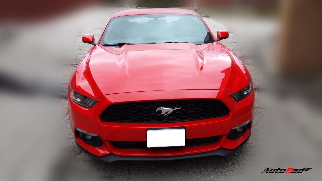 mustang_front