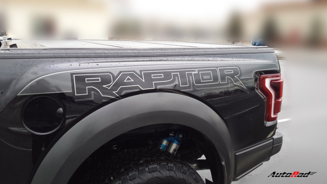 raptor_side